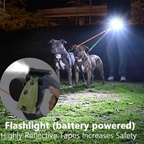 Smart Multipurpose Dual Dog Leash